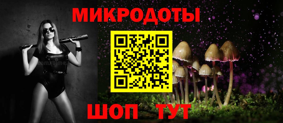 Алексеевка  Галлюциногенные грибы Psilocybine cubensis  Вход с VPN 