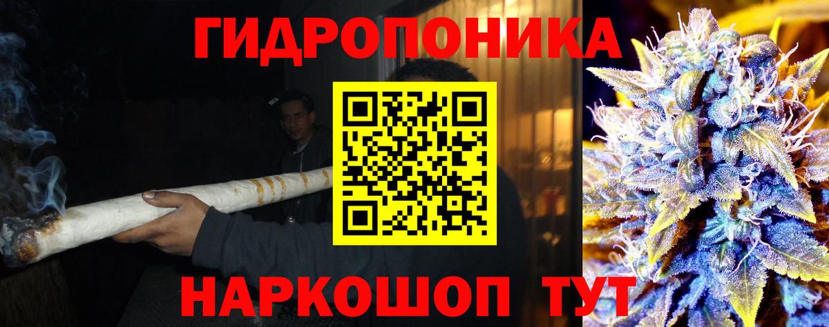 Бошки марихуана семена Алексеевка